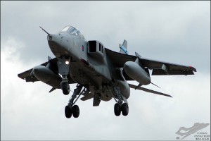 dsc_0102a