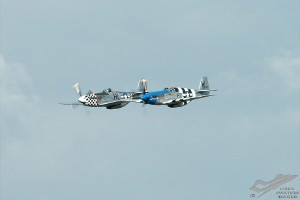 adsc_0109