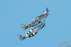 adsc_0114