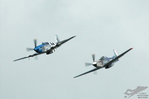 adsc_0116
