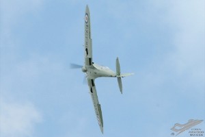 adsc_0206