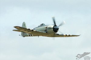 adsc_0214
