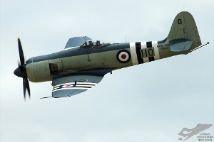 adsc_0220