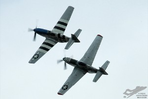 adsc_0310