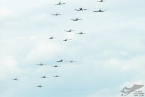 adsc_0451