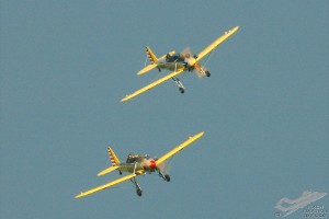 adsc_0084