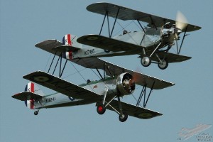 adsc_0156