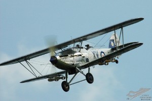 adsc_0242