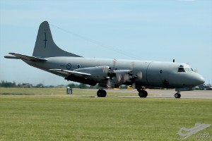 adsc_0223