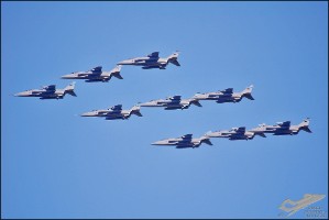 DSC_0299a