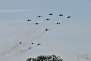 DSC_0310b