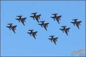 dsc_0306