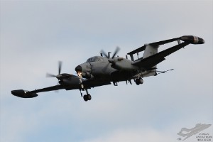 dsc_0178a