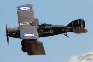 dsc_0117a