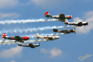 dsc_0186a