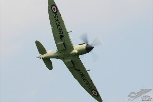 dsc_0254a