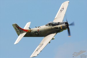 dsc_0279a