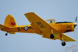 adsc_0011