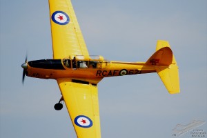 adsc_0234