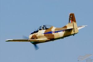 adsc_0281