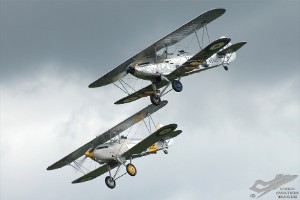 wdsc_0071