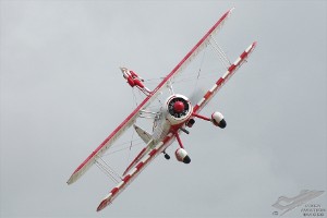 wdsc_0123