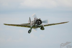wdsc_0217