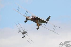 wdsc_0325