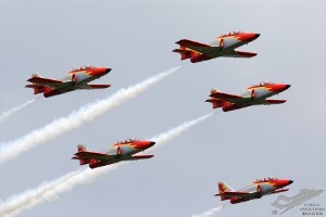 wdsc_0206