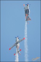 DSC_0183-1