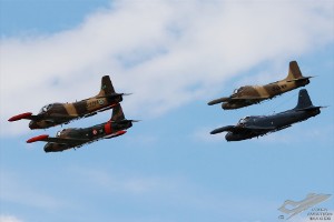 dsc_0363