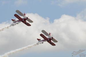 dsc_0469