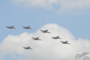 dsc_0491