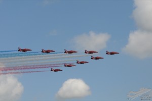dsc_0517