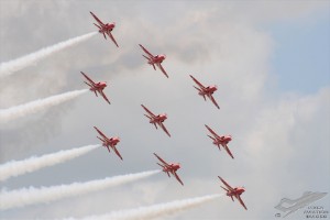 dsc_0522