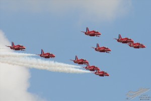 dsc_0534