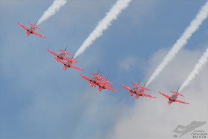 dsc_0538