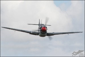 DSC_0042