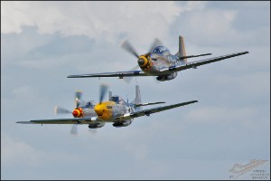 DSC_0235