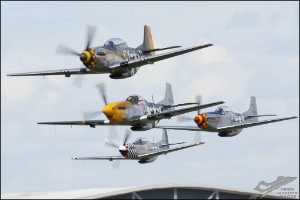 DSC_0237