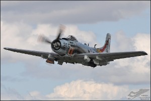 DSC_0281a