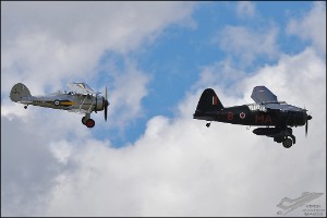 DSC_0339