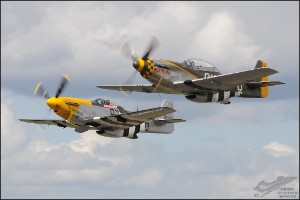DSC_0353