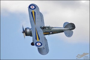 DSC_0365