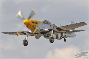 DSC_0537