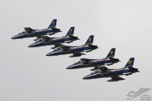 dsc_0071