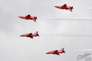 dsc_0167