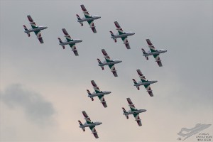 dsc_0868