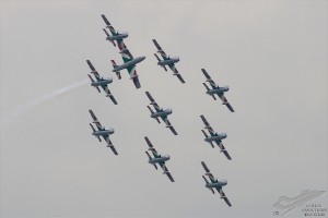 dsc_0871
