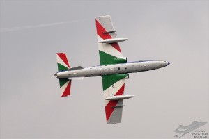 dsc_0887